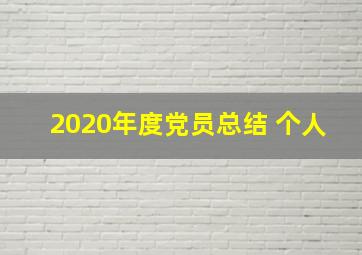 2020年度党员总结 个人